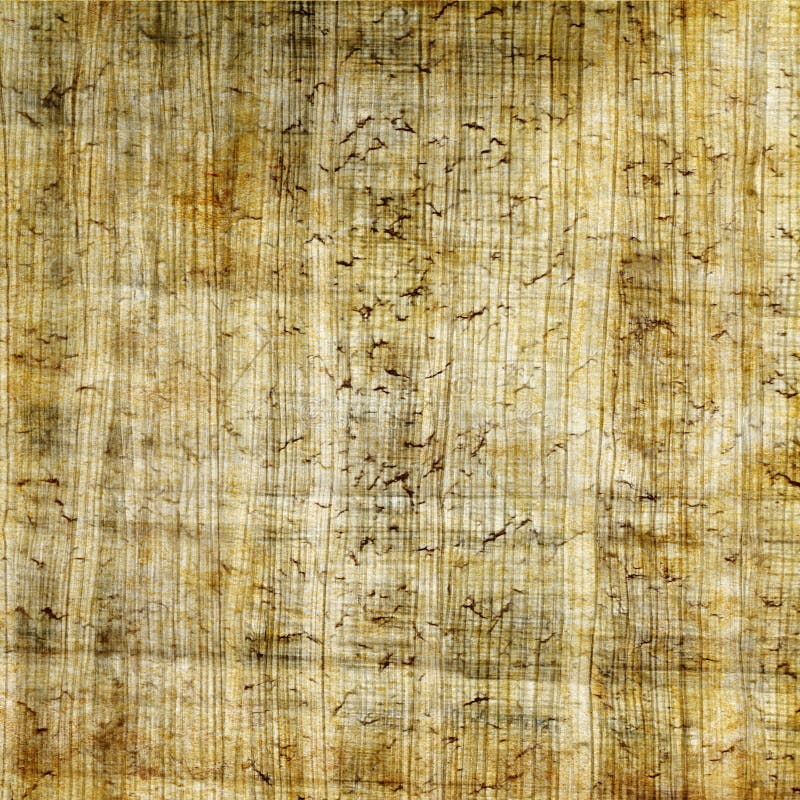 old papyrus paper background texture Stock Illustration