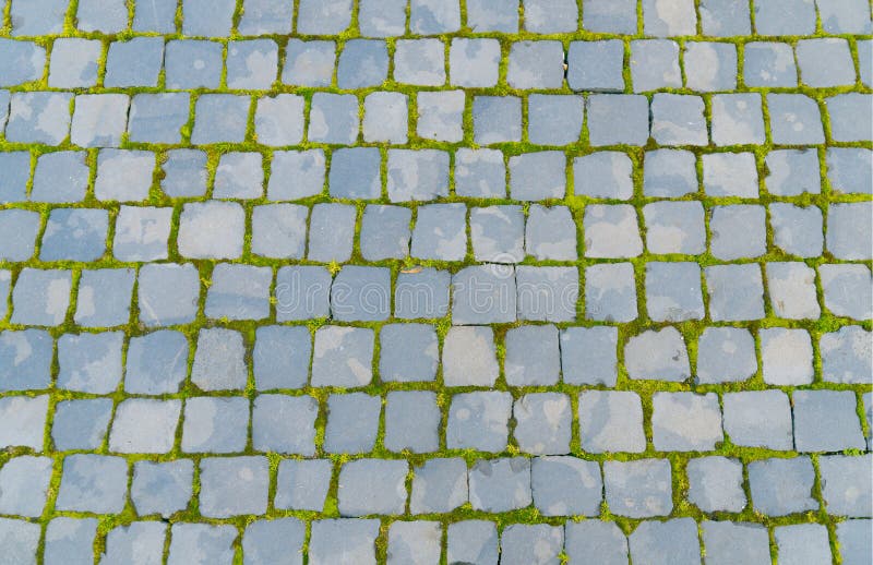 Old Pavers with Green Grass Stock Image Image of crack, vintage 91601287