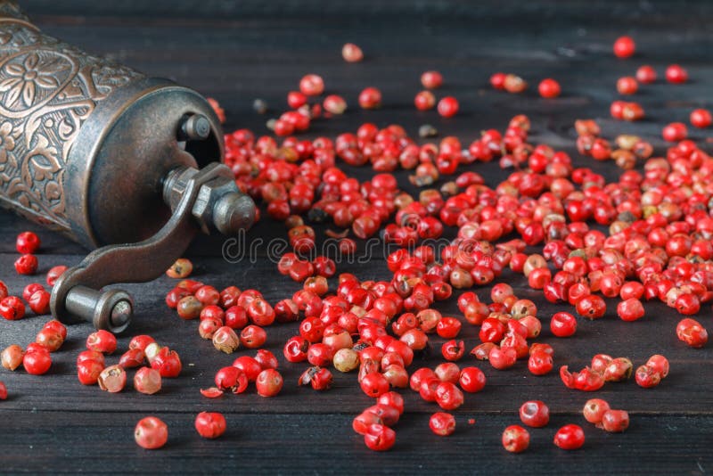 Old Pepper Grinder Mill with Different Dried Peppers Stock Image