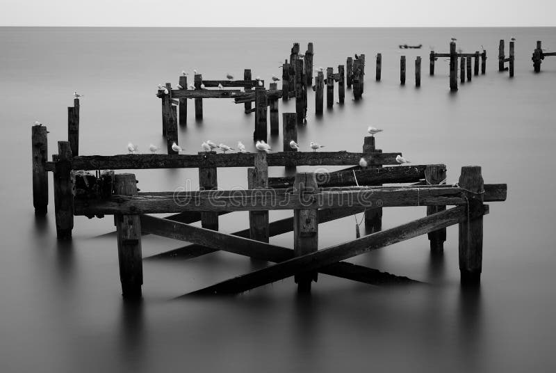 Old pier and seagulls