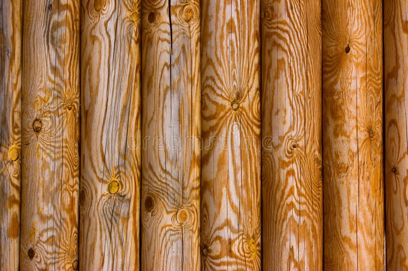 Old pine logs stock images