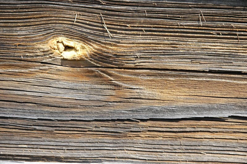 Old pine plank