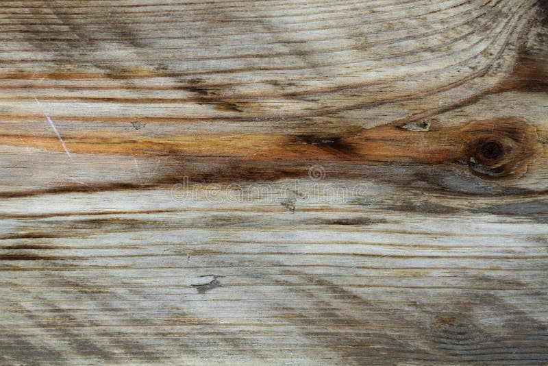 Old Pine Wood  Grain  Texture Stock Image Image of timber 