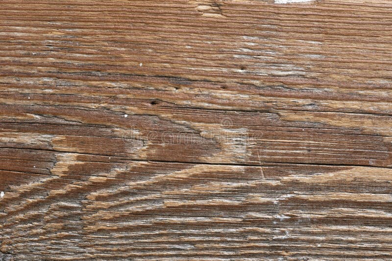 Old pine wood texture stock photo. Image of hardwood 78475386