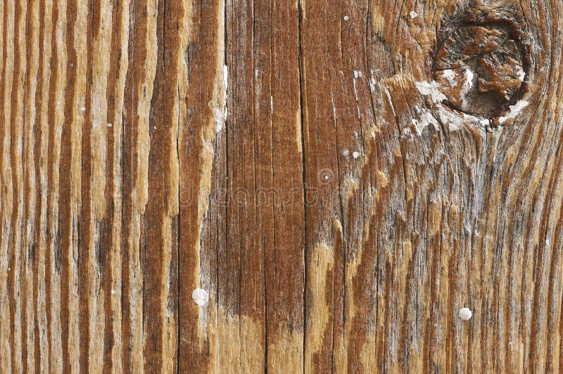 Old pine wood texture stock photo. Image of material 78475446