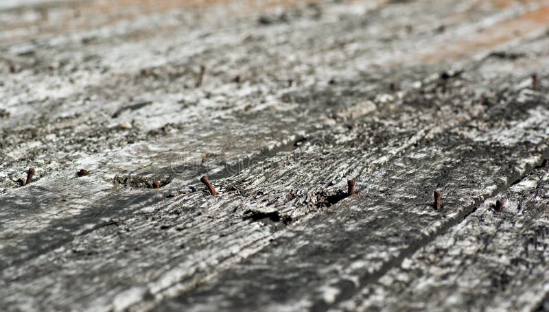 Old planks worn wood texture royalty free stock images Old planks worn wood texture royalty free stock images