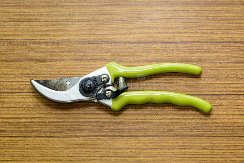 Old pliers gardening tool stock image. Image of garden 66001933