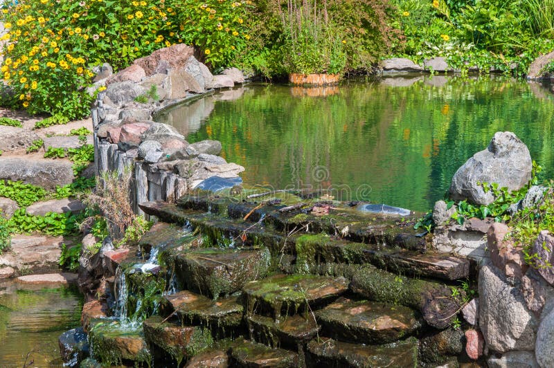 Old pond in garden