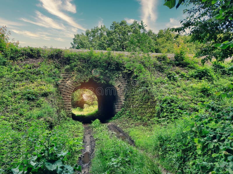 Starý železničný tunel pod železnicou, zarastený trávou a machom