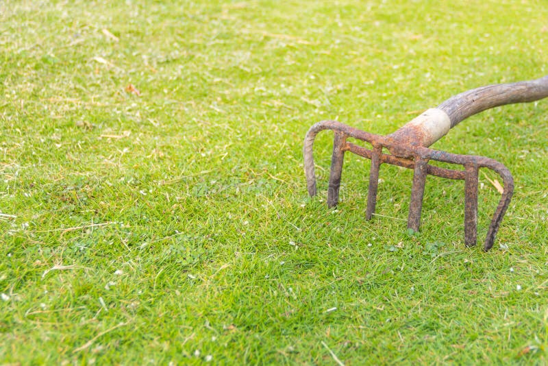 Old rake on the grass stock photo. Image of white, farming 45954774