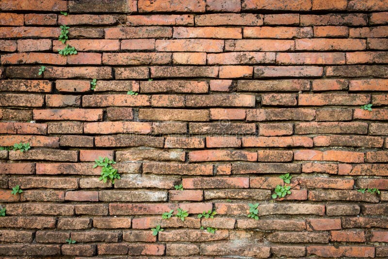 Old red brick wall texture background