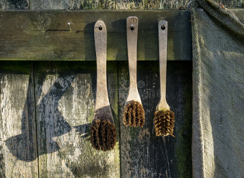 Old Retro Brushes Hang Decoratively on Wooden Wall Stock Photo Image