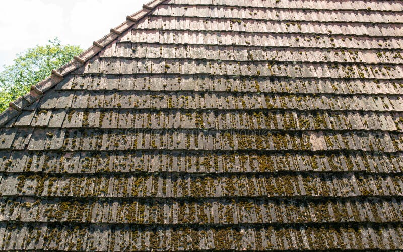 The old roof with moss-grown tiles