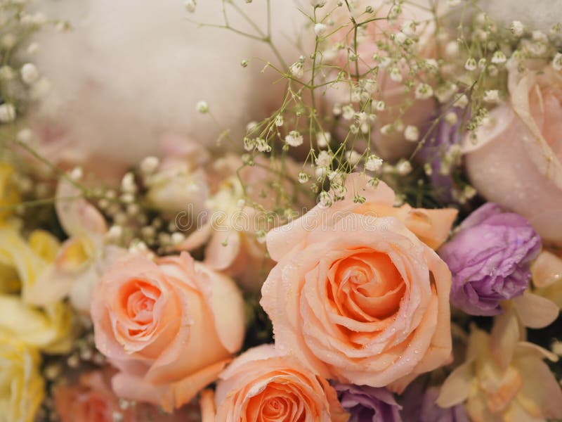 Old rose color rose flower arrangement Beautiful bouquet on blurred of nature background symbol love Valentine stock photos Old rose color rose flower arrangement Beautiful bouquet on blurred of nature background symbol love Valentine stock photos