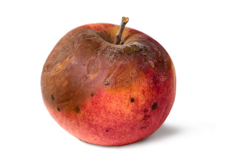 15,644 Rotten Apple Images, Stock Photos, 3D objects, & Vectors