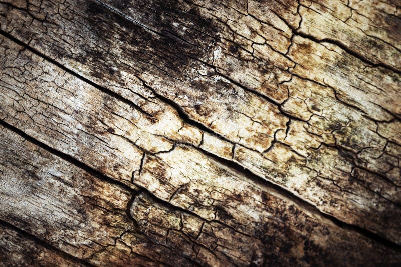Old rotten wood stock photo. Image of rusty, rotten, black 56538748
