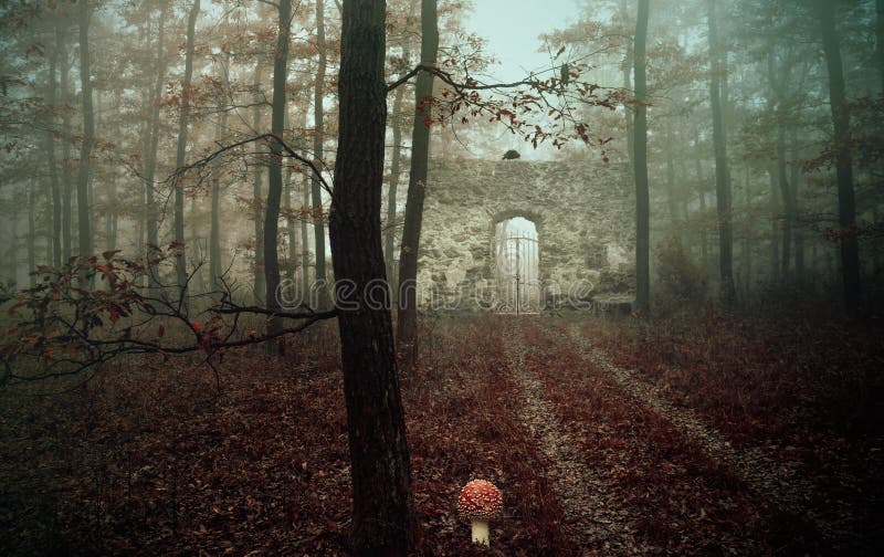 Old ruin in the forest,fantasy photo royalty free stock photos Old ruin in the forest,fantasy photo royalty free stock photos