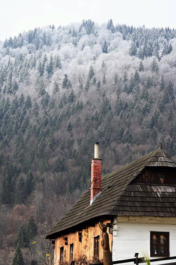 Old rural house against dense forest in Vlkolinec, Slovakia