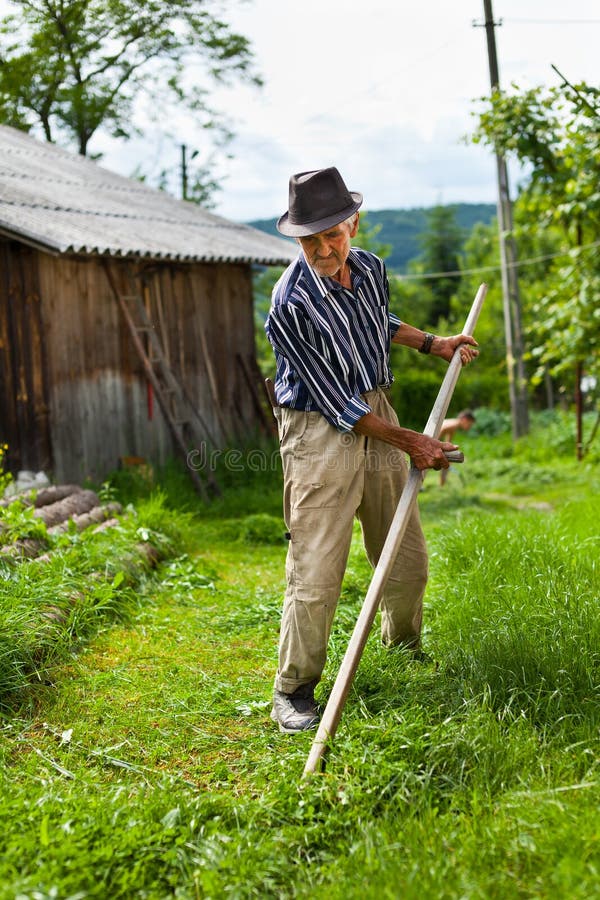 Old rural man using scythe stock image. Image of culture 19896359