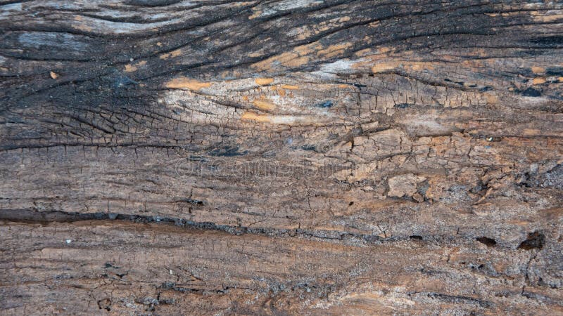 Old and rustic wood texture background royalty free stock photos