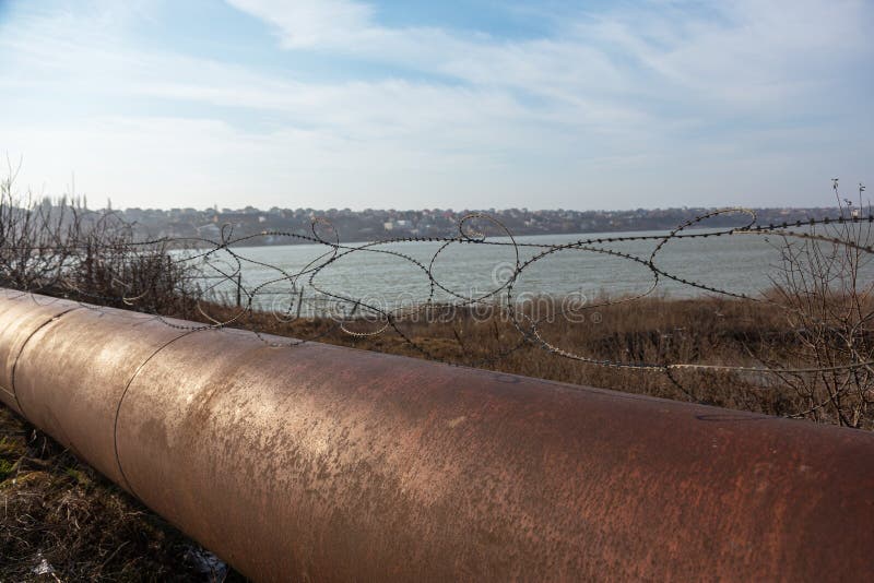 Barbed Wire Fence Fence with Adhering Debris. Torn Old Plastic Bags on