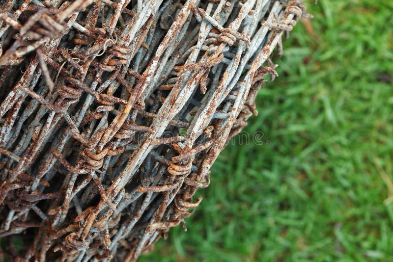 bouquet of barb wire bouquet of barb wire