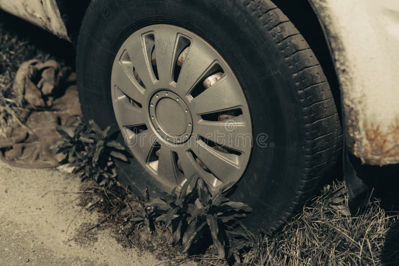 Old Rusty Car Wheel. Cracked Tires and Rusted Hubcaps Stock Photo
