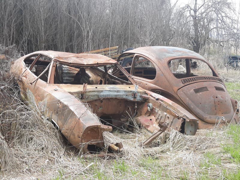 Old rusty cars stock photo. Image of rusted, cars, rusty 148276304