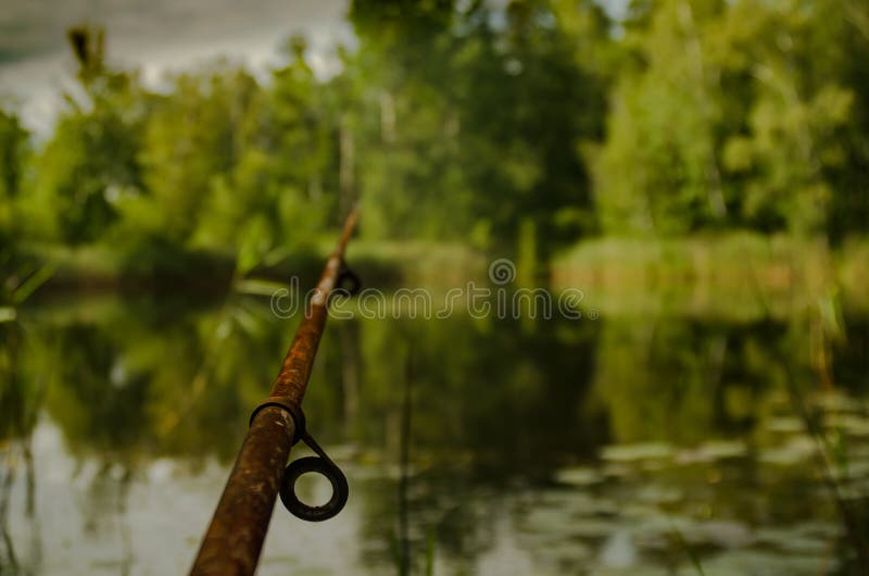 Old Fishing Rod on Nature Background Stock Image - Image of catch, green:  74737407