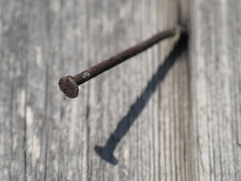 Old Rusty Nail in a Wooden Wall Stock Photo Image of closeup, nail
