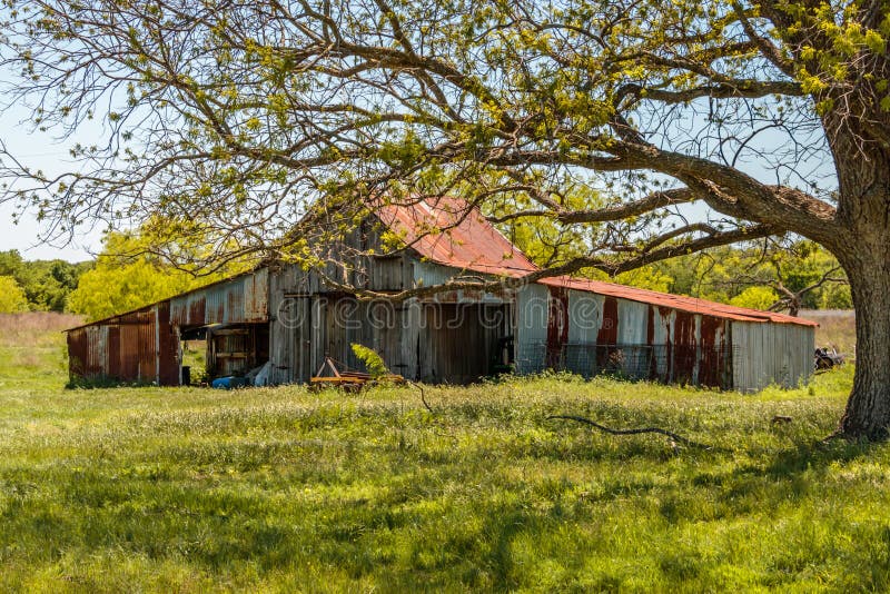 Old Rusty Roof Barn in Texas Stock Image Image of tree, antique