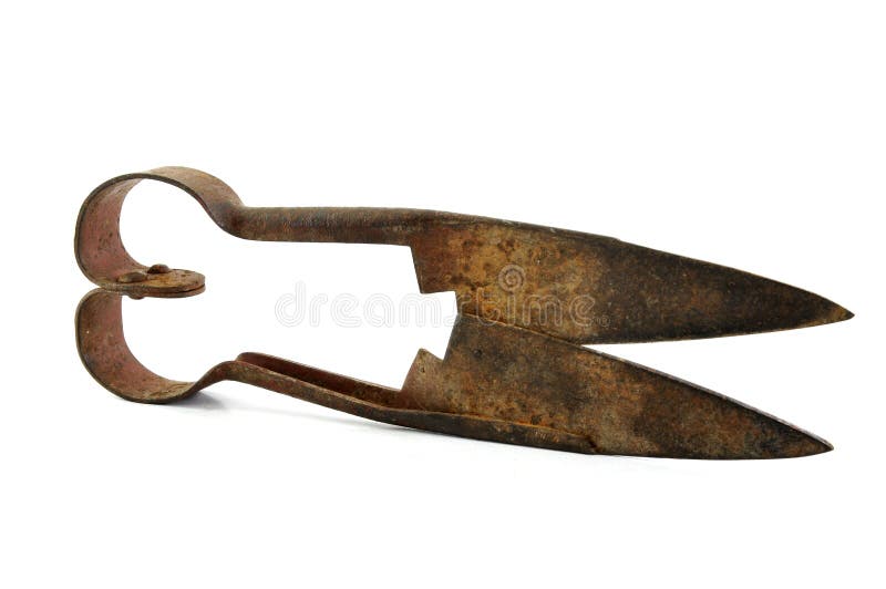 Rusty Old Fashioned Sheep Shears Held In Hand Stock Photo