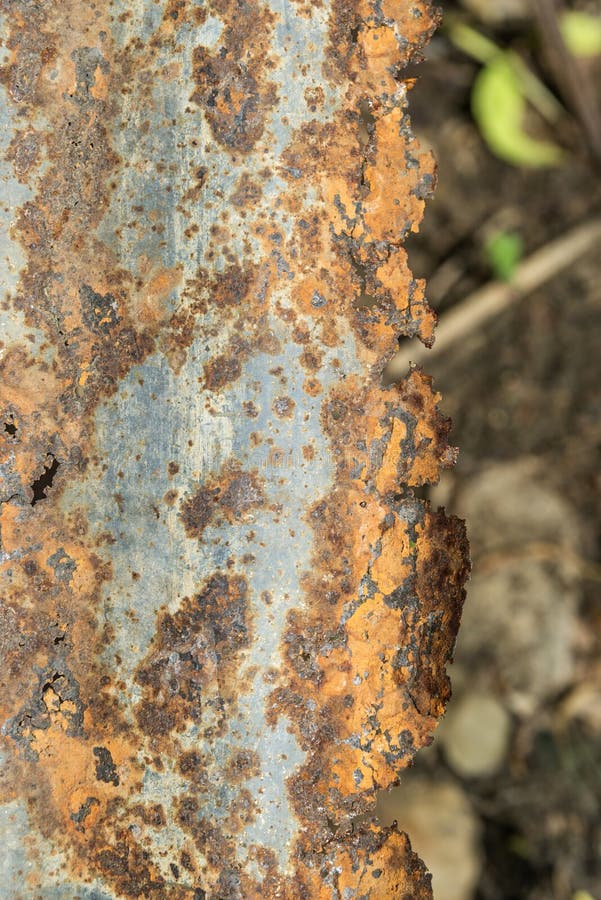 Old Rusty Zinc Wall Panel with Rusty Texture for Background, Rusted