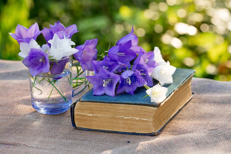 Old shabby book and flowers royalty free stock images