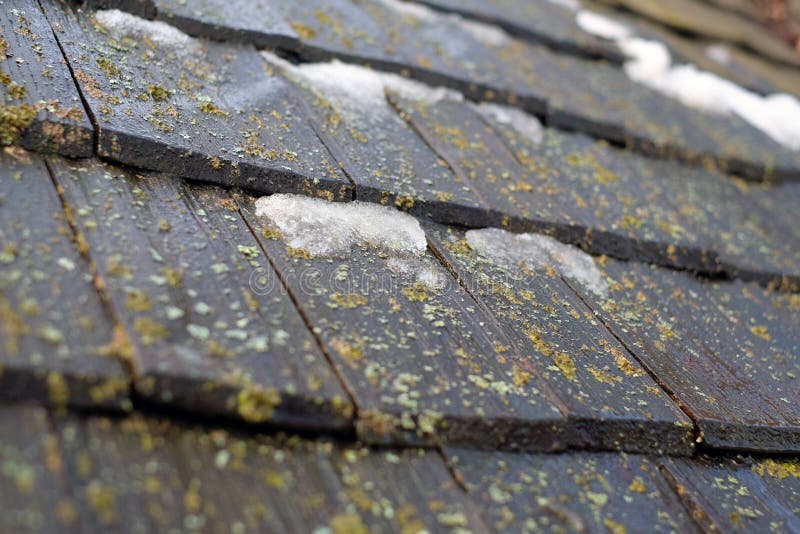 Old shingles wooden roof with moss stock image Old shingles wooden roof with moss stock image