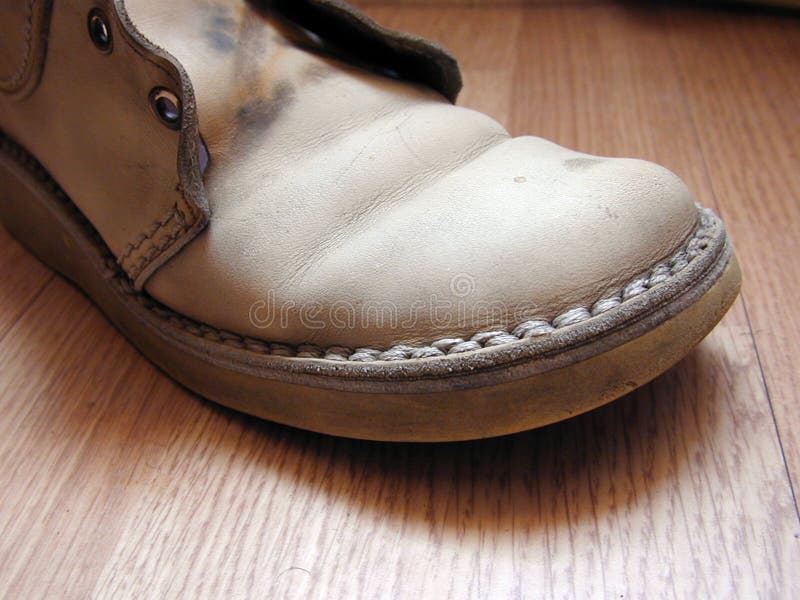 Old Shoe Picture. Image 450057