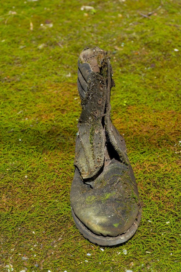 Rotten old moss and mold covered boots. Very old boots on green moss. Old shoe in moss. Rotten old moss and mold covered boots. Very old boots on green moss. Old shoe in moss.