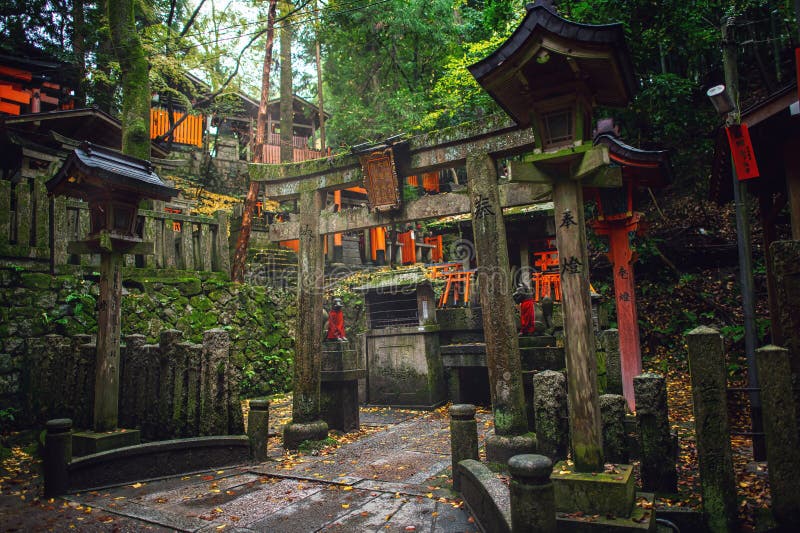 Old shrine in the forest in autumn season, The moss green makes it look fresh and moist. The