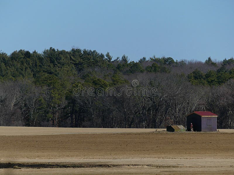 The Old Sod Farm After The Harvest Stock Photo Image Of Clouds Harvested 173167300
