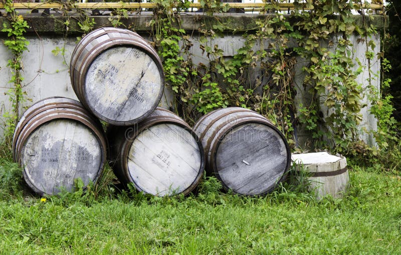 Wooden Old Barrels With Pipe For Beer Stock Photo Image of cellar