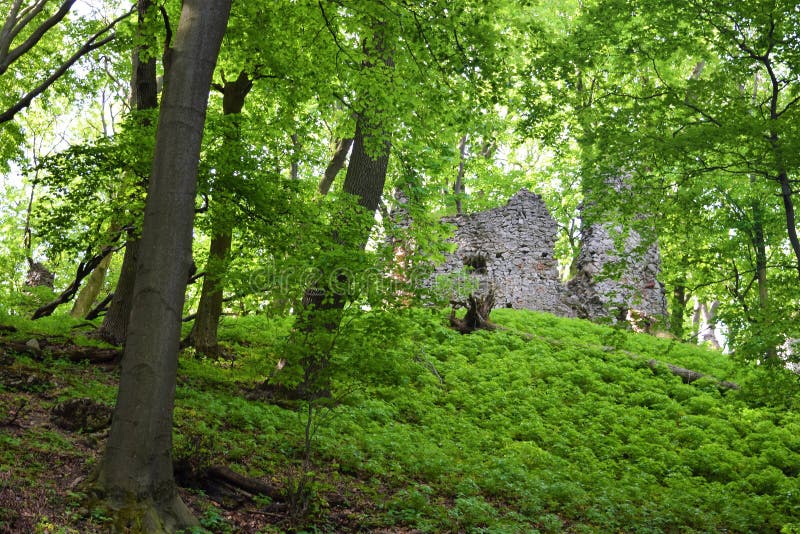 Old stone castle ruins in forest. hot summer day