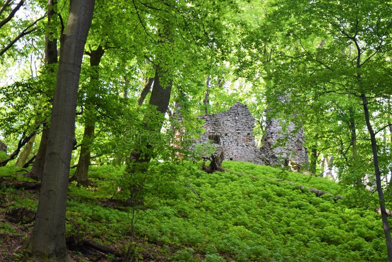 Old stone castle ruins in forest. hot summer day