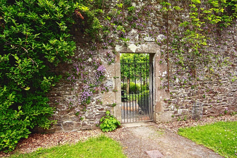 garden wall !