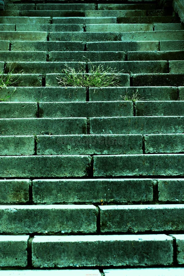 Old stone stair way and grass