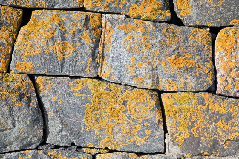 Old stone wall with bright lichen