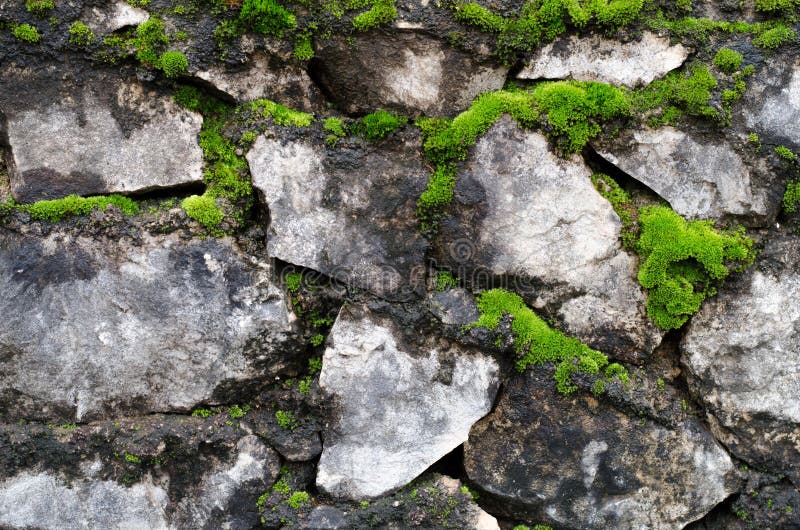 Old stone wall covered green moss