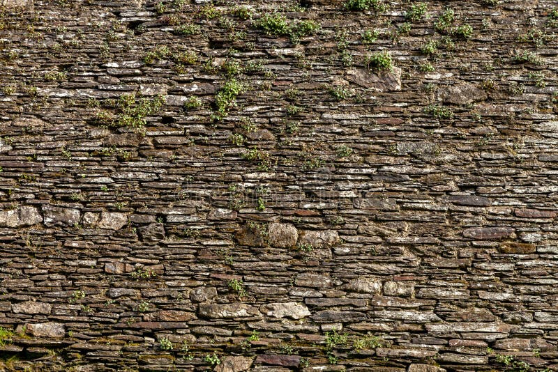 Old green wallpaper stock image. Image of 19401980, 1950s 103836217