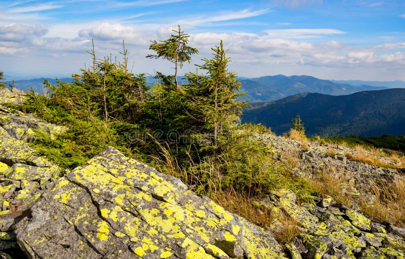 Old stones and green trees on mountain top royalty free stock photo Old stones and green trees on mountain top royalty free stock photo