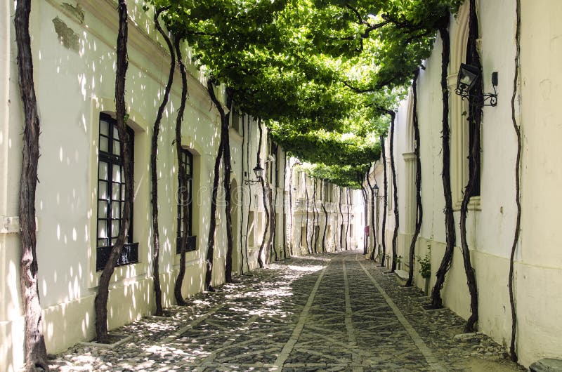  , dónde tú para ver viejo calles de Andalucía ()  plantas.