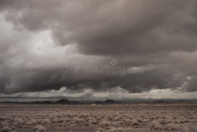 Desert Storm stock photo. Image of saguaro, arizona, cholla - 8111596